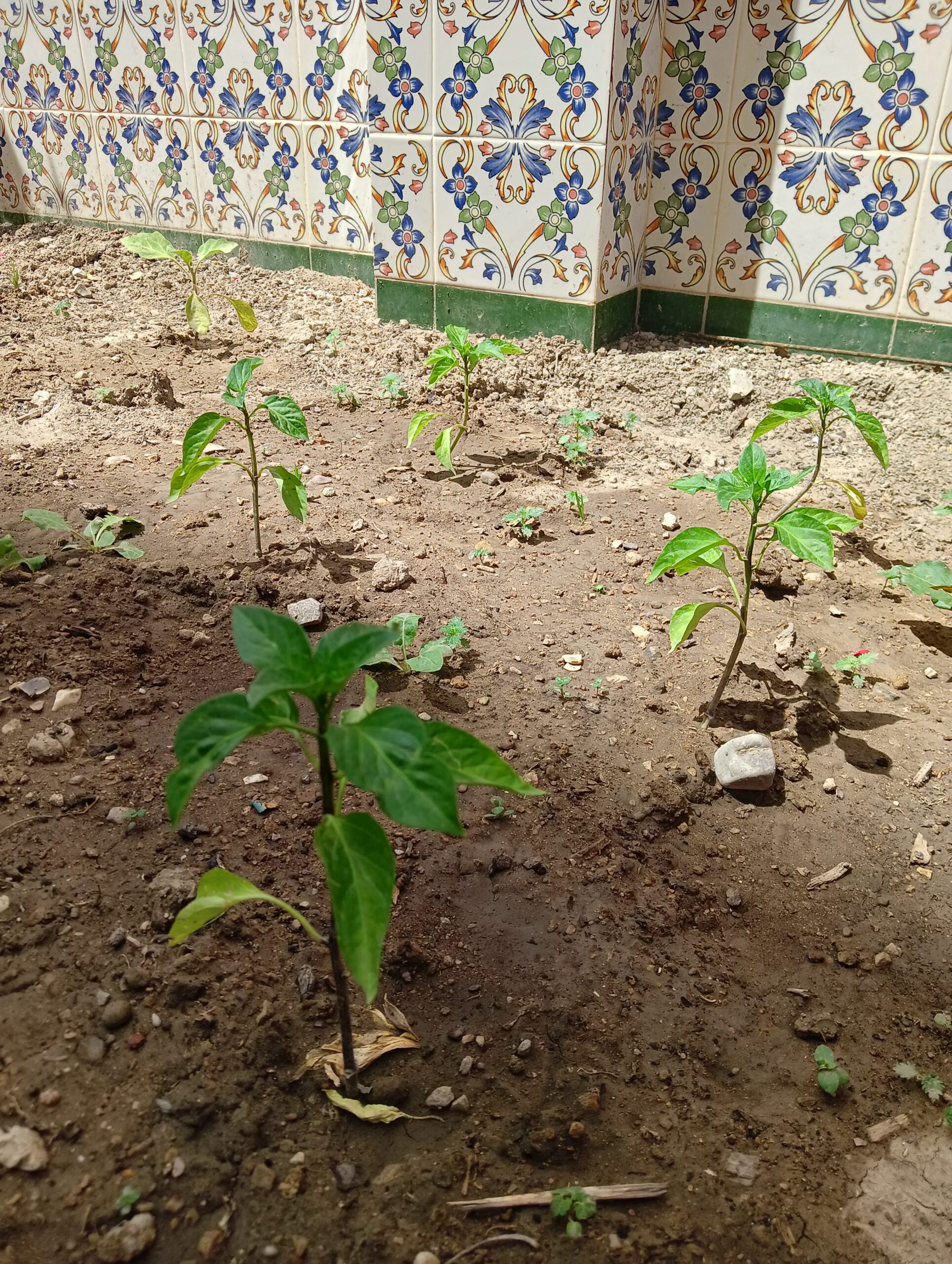 img20230509131030